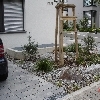 minibild