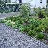 minibild